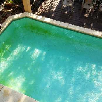 Luxury Properties Real Estate - Condition of the pool when I arrived!!!!! - Real Estate Services Near Me - Miramar Beach, Florida Luxury Properties Real Estate - Condition of the pool when I arrived!!!!! - Real Estate Services Near Me - Miramar Beach, Florida