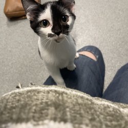 Randolph County Animal Shelter