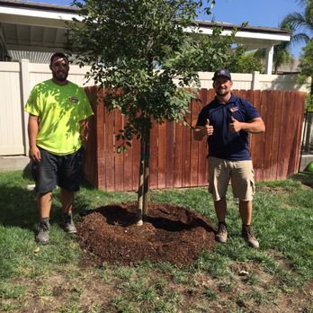 Moon Valley Nurseries - Tree Services Near Me - Chino, California Moon Valley Nurseries - Tree Services Near Me - Chino, California
