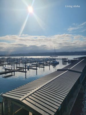 Bremerton Ferry Terminal by null