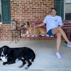 Pet Retreat At Paramount Farms - Dogs