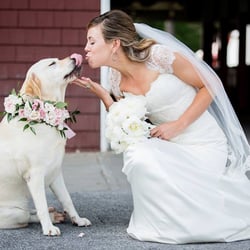 Lily Saratoga - Our Lily Bride Patricia!