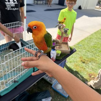 Reptacular Animals - Party & Event Planning Near Me - Sun Valley, California Reptacular Animals - Party & Event Planning Near Me - Sun Valley, California