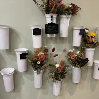 Springly - Flowers for sale $25 - Vietnamese Near Me - Fresno, California