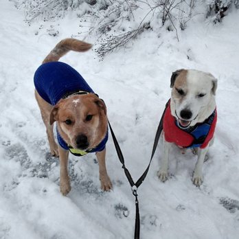 Peace OMind - Brothers - House Sitters Near Me Peace OMind - Brothers - House Sitters Near Me