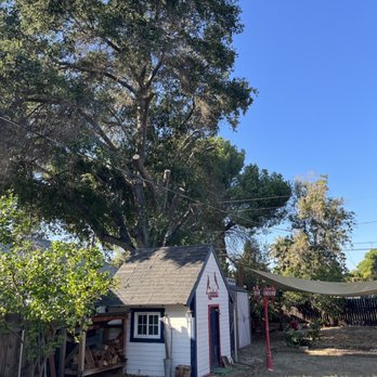 J and m landscape - Back tree, after - Tree Services Near Me J and m landscape - Back tree, after - Tree Services Near Me