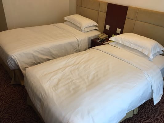 Oasis Avenue by null