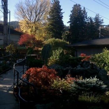 Spa Chi - Fall color Cafe Chi - Waxing Near Me - Issaquah, Washington