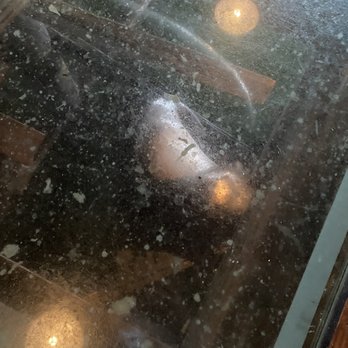 Buoy Beer - Sea lion through the floor - Brewpubs Near Me - Astoria, Oregon