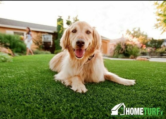 Never Mow*Water Again-Pet Turf-Clean Pets - For San Diego dog owners synthetic grass lawns have become a realistic, affordable, and popular solution.  Kids, dogs, and adults will love to play on a practically indestructible, beautifully manicured, maintenance-free lawn, with no down time due to sprinklers, mowing, etc..   The city of San Diego is offering water conservation rebates for installing artificial grass lawns, and our synthetic turf designed specifically for dogs will more than qualify.  Call HomeTurf® Artificial Grass Lawns of San Diego for more detailed information on artificial turf rebates for water conservation.