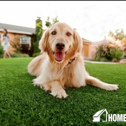 HomeTurf - Pets love HomeTurf. Ask about pet friendly turf makeovers