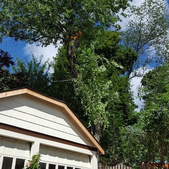H N Tree Care - Removing cherry tree leaning over the shed. Denville NJ - Tree Services Near Me - Landing, New Jersey H N Tree Care - Removing cherry tree leaning over the shed. Denville NJ - Tree Services Near Me - Landing, New Jersey