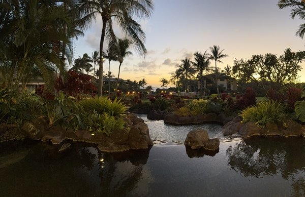 Koloa Landing Resort at Poipu, Autograph Collection by null