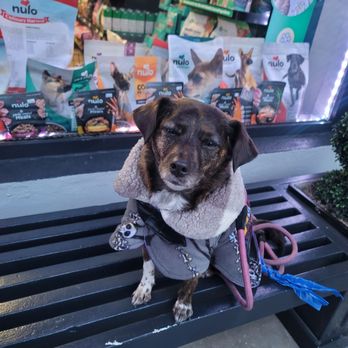IB Pet - Pet Stores Near Me - Coronado, California