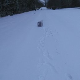 does this look like package was delivered to my door,