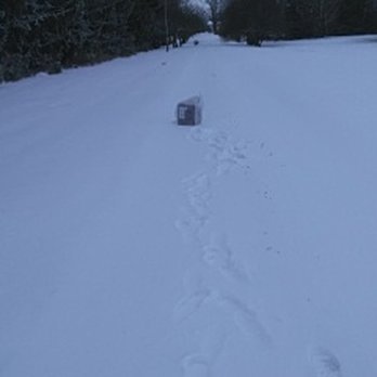 FedEx - does this look like package was delivered to my door, - Shipping Centers Near Me - Edmonton, Alberta