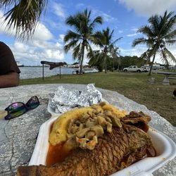 Panchi’s Seafood - COMBO PLATE - stew potfish , fungi and conch