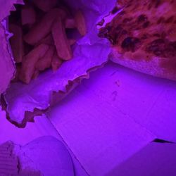 Pizza Dog - French fries and pizza