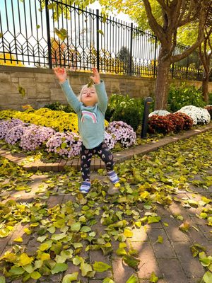 The Ewing and Muriel Kauffman Memorial Garden by null