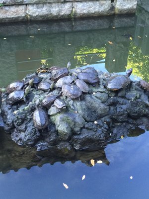 Naritasan Park by null