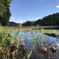 Plum Orchard Lake
