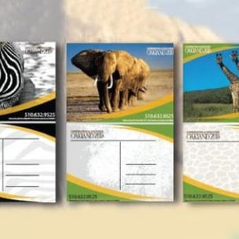 PWIP Design - Print Design | Oakland Zoo - Web Design Near Me - Alameda, California PWIP Design - Print Design | Oakland Zoo - Web Design Near Me - Alameda, California