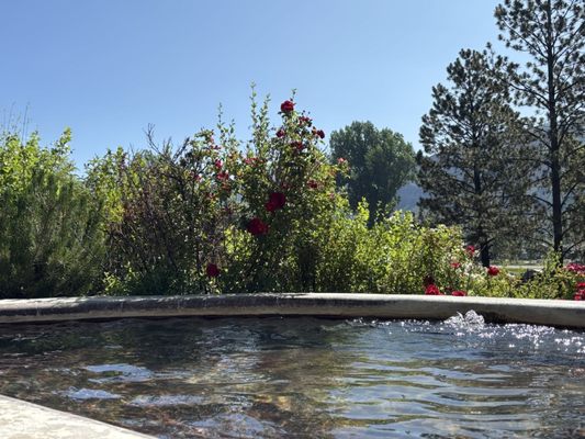 Durango Hot Springs Resort & Spa by null