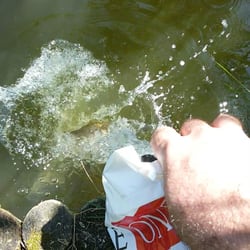 Park Moczydełko