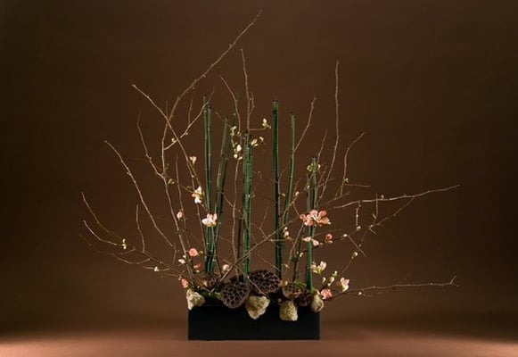 IXIA by null