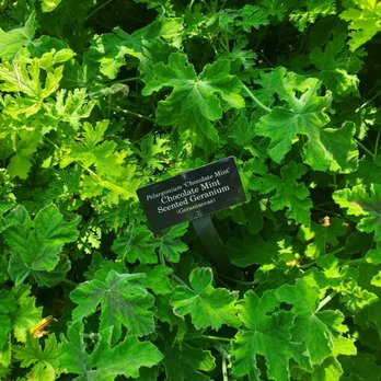 Chicago Botanic Garden - Botanical Gardens Near Me - Glencoe, Illinois