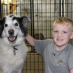 Curve Crest Kennels
