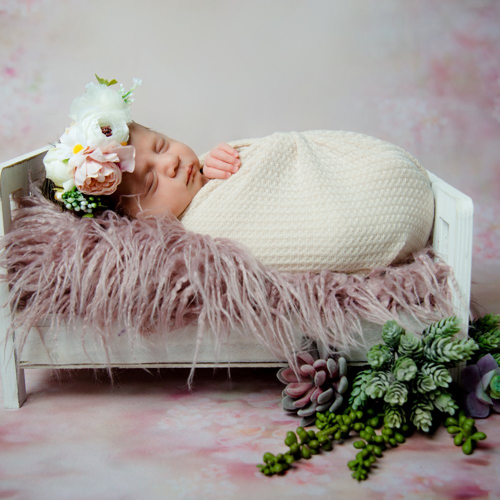 Anna Monette Photos - Session Photography Near Me