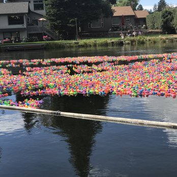 City of Bend - Drake Park Duck Race - Municipality Near Me - Bend, Oregon