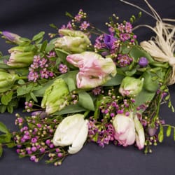 Bloom Plus - Spring! Spring! Excelent Parrot Tulip Bouquet