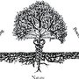 Photo of Holistic Therapies