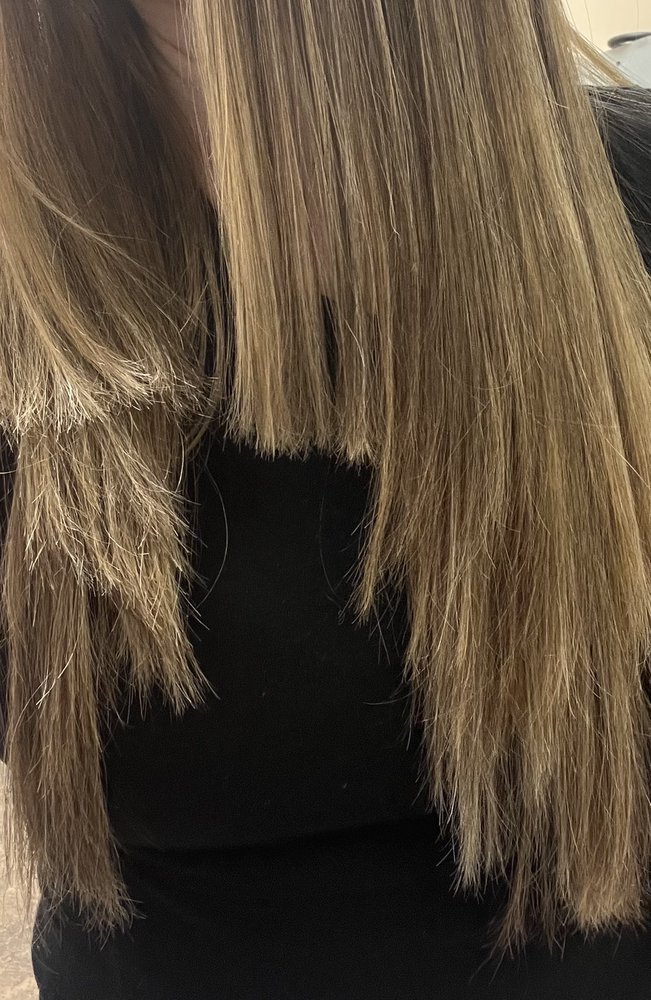 Hair Dynamix Image
