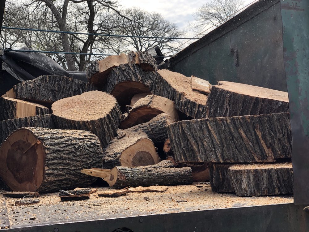 BIG BIRD TREE SERVICE 23 Photos & 15 Reviews 401 E Wheatland Rd