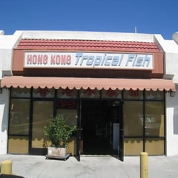 Hong Kong Tropical Fish Hong Kong Tropical Fish