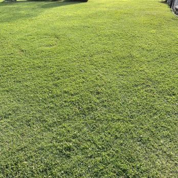 MKA Service Company - Great job on whole lawn! - Handyman Near Me MKA Service Company - Great job on whole lawn! - Handyman Near Me