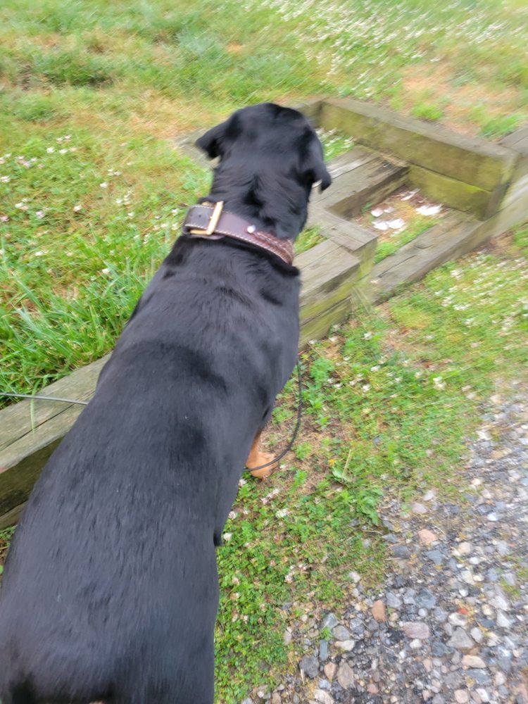 o Jupiter Florida Real Estate For Sale