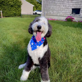 Pet Supplies Plus Cranston - Pet Stores Near Me - Cranston, Rhode Island