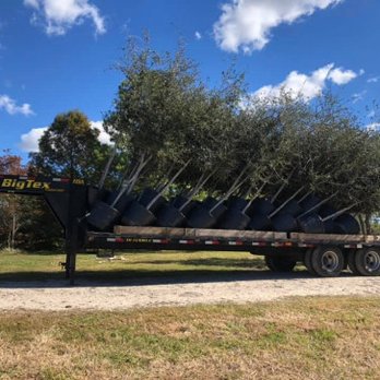 Wagner Tree Farm - Tree Services Near Me - Santa Fe, Texas