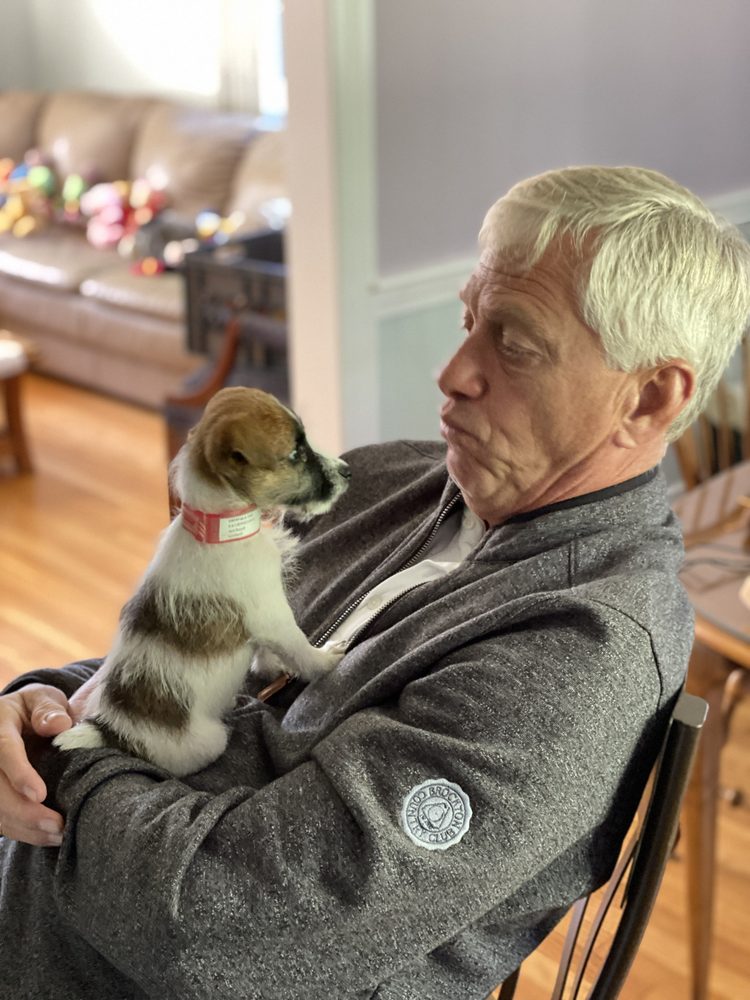 B&S KENNELS Updated July 2024 31 Photos 1165 Rd 90, Olpe, Kansas