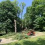 Photo of Carr Tree & Timber