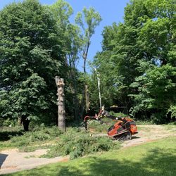 Carr Tree & Timber - They used this machine to quickly pickup the sawed down tree branches.