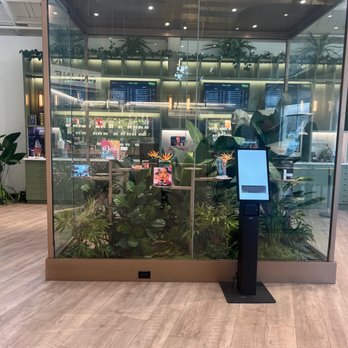 Root’d In The 510 - Root'd 510 - Cannabis Dispensaries Near Me - Oakland, California Root’d In The 510 - Root'd 510 - Cannabis Dispensaries Near Me - Oakland, California