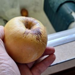Lucy glo apple from produce section