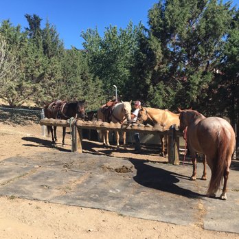 Rockin Maddy Ranch - Horseback Riding Near Me - Yreka, California