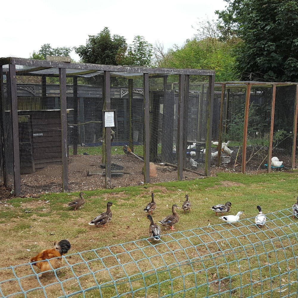 Mistley Place Park Tearooms - Coffee & Tea Near Me - Manningtree, ESS