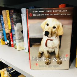 Sharon's Attic - Sharon's Attic has an extensive book section!